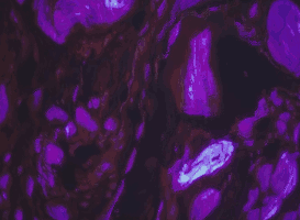 purple marble swirls