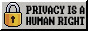 Privacy is a human right